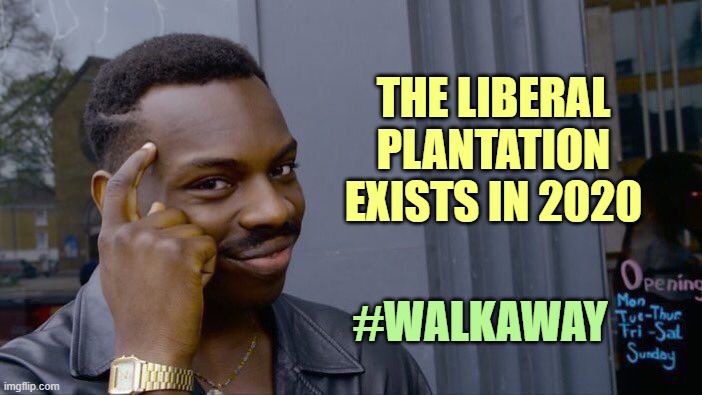 Roll Safe Think About It Meme | THE LIBERAL PLANTATION EXISTS IN 2020 #WALKAWAY | image tagged in memes,roll safe think about it | made w/ Imgflip meme maker