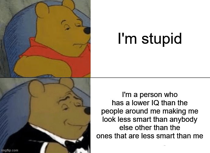 its that nobody says it | I'm stupid; I'm a person who has a lower IQ than the people around me making me look less smart than anybody else other than the ones that are less smart than me | image tagged in memes,tuxedo winnie the pooh | made w/ Imgflip meme maker