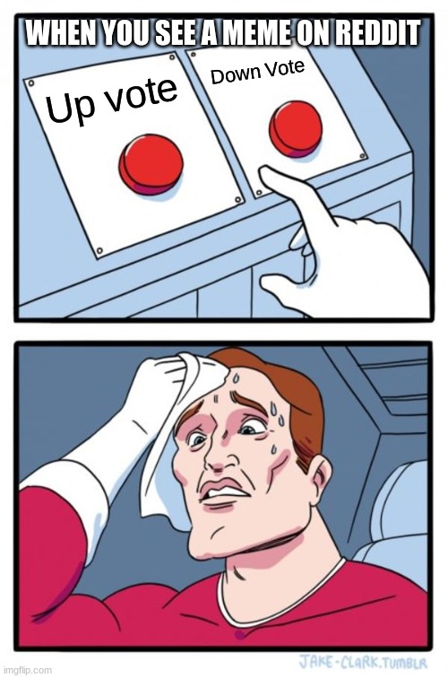 When you see a meme on Reddit | WHEN YOU SEE A MEME ON REDDIT; Down Vote; Up vote | image tagged in memes,two buttons | made w/ Imgflip meme maker