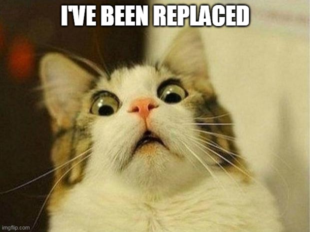 Scared Cat Meme | I'VE BEEN REPLACED | image tagged in memes,scared cat | made w/ Imgflip meme maker