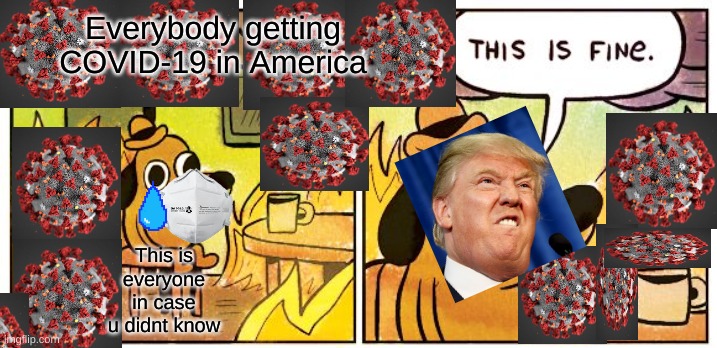 This Is Fine | Everybody getting COVID-19 in America; This is everyone in case u didnt know | image tagged in memes,this is fine | made w/ Imgflip meme maker