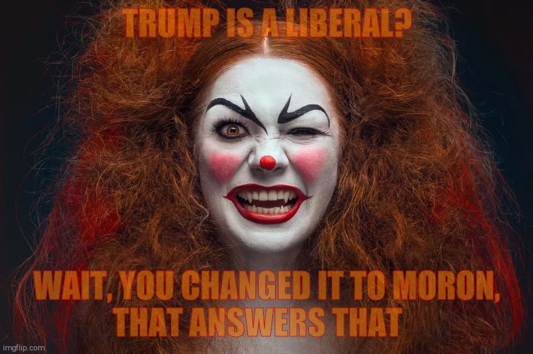 Vampire Clown Redhead | TRUMP IS A LIBERAL? WAIT, YOU CHANGED IT TO MORON,         THAT ANSWERS THAT | image tagged in vampire clown redhead | made w/ Imgflip meme maker
