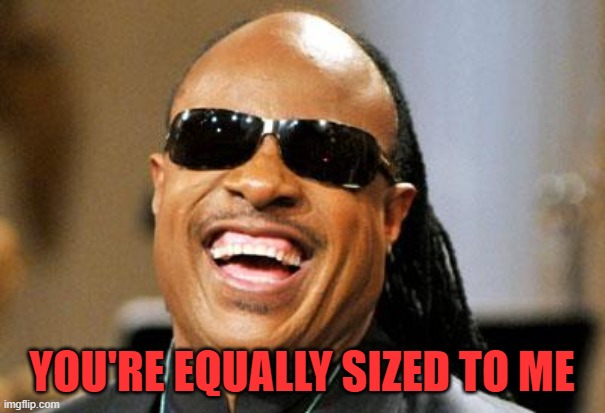 Stevie Wonder | YOU'RE EQUALLY SIZED TO ME | image tagged in stevie wonder | made w/ Imgflip meme maker