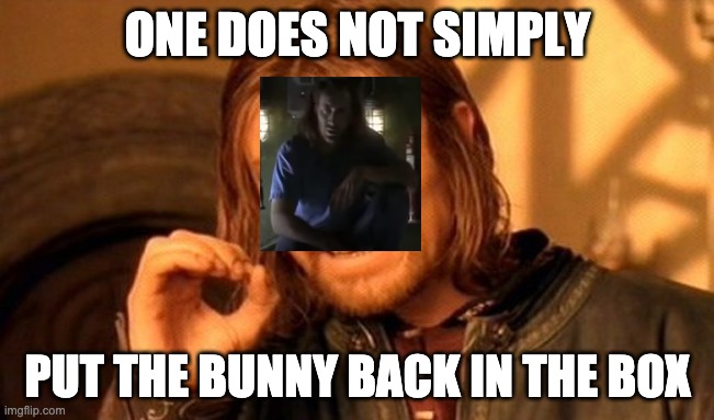 One Does Not Simply Meme | ONE DOES NOT SIMPLY; PUT THE BUNNY BACK IN THE BOX | image tagged in memes,one does not simply | made w/ Imgflip meme maker