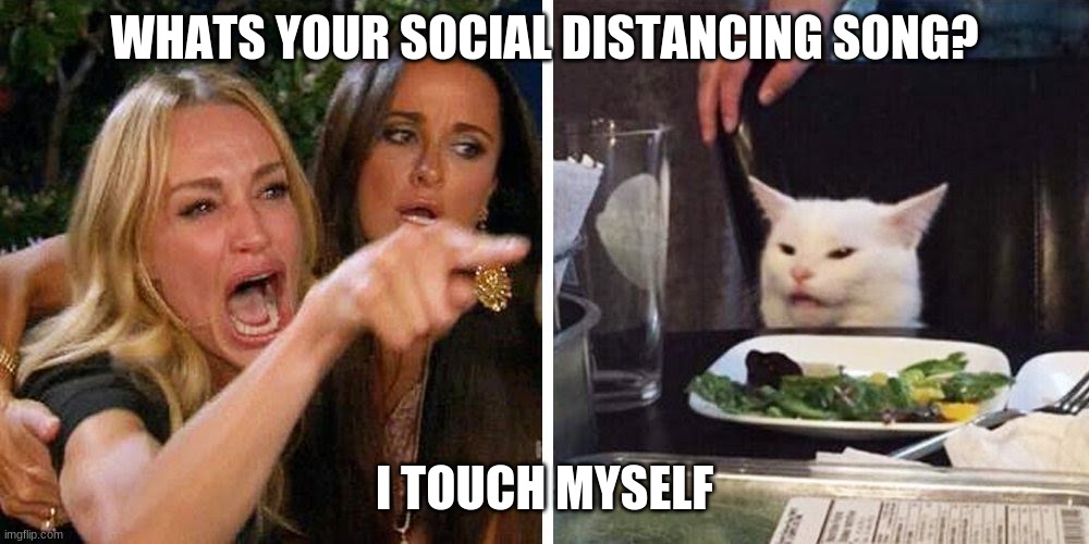 Smudge the cat | WHATS YOUR SOCIAL DISTANCING SONG? I TOUCH MYSELF | image tagged in smudge the cat | made w/ Imgflip meme maker