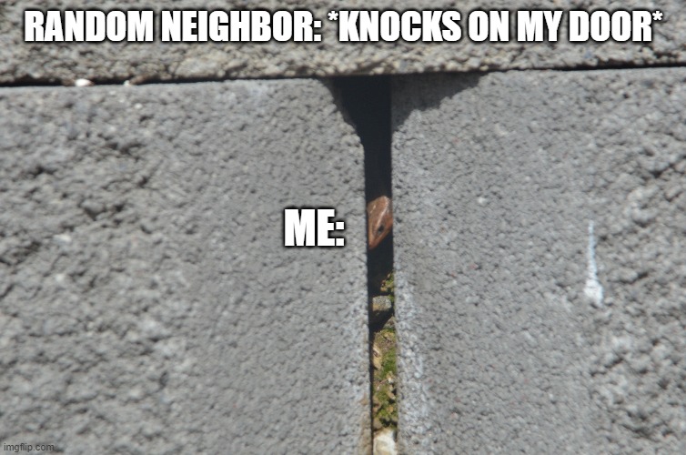 Hiding lizard | RANDOM NEIGHBOR: *KNOCKS ON MY DOOR*; ME: | image tagged in hidden,lizard | made w/ Imgflip meme maker