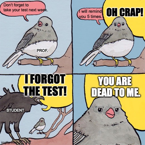 Student forgets test | OH CRAP! I will remind you 5 times. Don't forget to take your test next week. PROF. I FORGOT THE TEST! YOU ARE 
DEAD TO ME. STUDENT | image tagged in interrupting bird | made w/ Imgflip meme maker