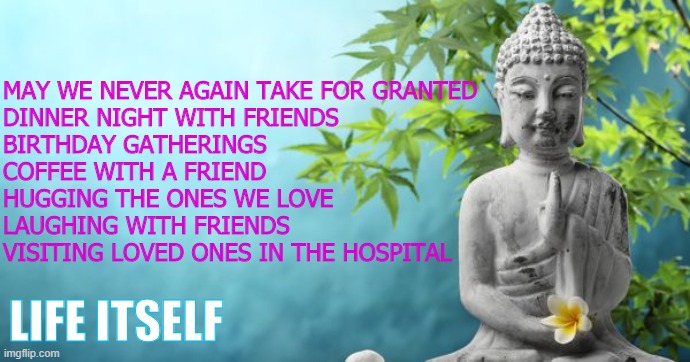 Life | MAY WE NEVER AGAIN TAKE FOR GRANTED
DINNER NIGHT WITH FRIENDS
BIRTHDAY GATHERINGS
COFFEE WITH A FRIEND
HUGGING THE ONES WE LOVE
LAUGHING WITH FRIENDS
VISITING LOVED ONES IN THE HOSPITAL; LIFE ITSELF | image tagged in buddha peaceful | made w/ Imgflip meme maker
