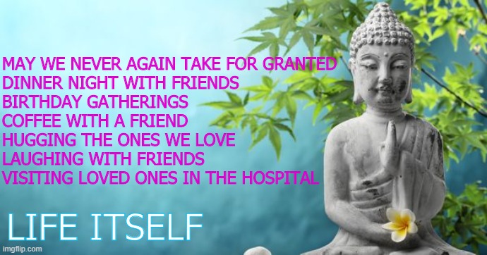 Don't take life for granted | MAY WE NEVER AGAIN TAKE FOR GRANTED
DINNER NIGHT WITH FRIENDS
BIRTHDAY GATHERINGS
COFFEE WITH A FRIEND
HUGGING THE ONES WE LOVE
LAUGHING WITH FRIENDS
VISITING LOVED ONES IN THE HOSPITAL; LIFE ITSELF | image tagged in buddha peaceful | made w/ Imgflip meme maker
