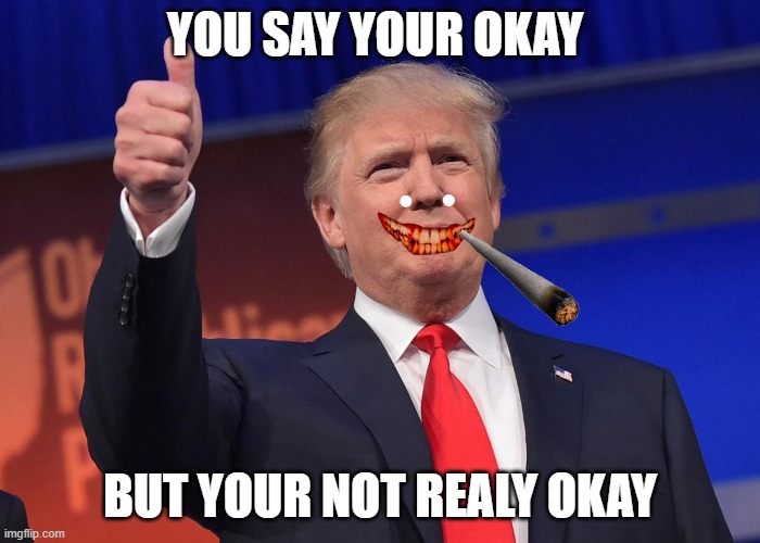 donald trump | YOU SAY YOUR OKAY; BUT YOUR NOT REALY OKAY | image tagged in donald trump | made w/ Imgflip meme maker