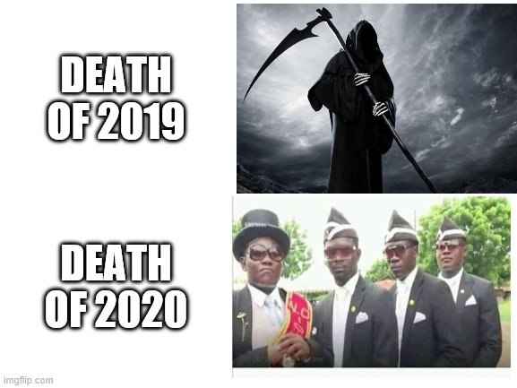 Blank White Template | DEATH OF 2019; DEATH OF 2020 | image tagged in blank white template,coffin dance,2019 vs 2020,then vs now | made w/ Imgflip meme maker