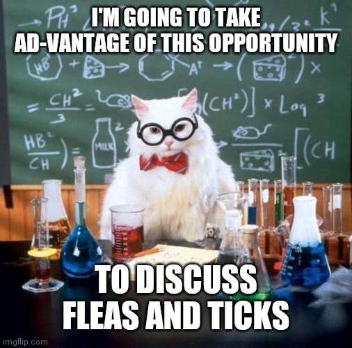 Chemistry Cat Meme | I'M GOING TO TAKE AD-VANTAGE OF THIS OPPORTUNITY; TO DISCUSS FLEAS AND TICKS | image tagged in memes,chemistry cat | made w/ Imgflip meme maker