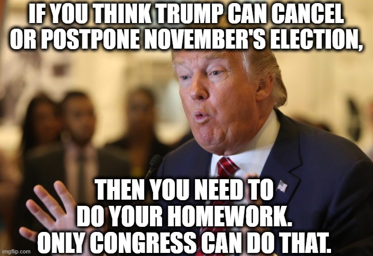 Don't believe Trump or the fatalists. | IF YOU THINK TRUMP CAN CANCEL OR POSTPONE NOVEMBER'S ELECTION, THEN YOU NEED TO DO YOUR HOMEWORK. ONLY CONGRESS CAN DO THAT. | image tagged in donald trump,election,november,empty threats,ignorance,stupidity | made w/ Imgflip meme maker