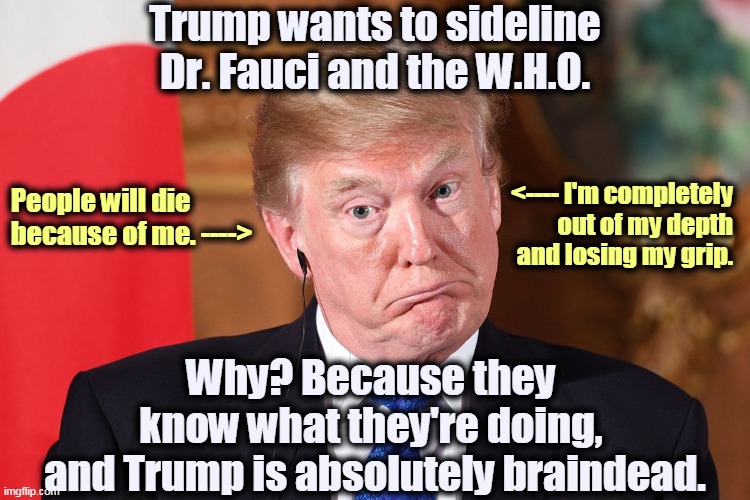 "Stupid is as stupid does," and dear God is Trump ever stupid! If the word "retarded" ever comes back into use, he's retarded. | Trump wants to sideline Dr. Fauci and the W.H.O. <---- I'm completely out of my depth and losing my grip. People will die because of me. ---->; Why? Because they 
know what they're doing, 
and Trump is absolutely braindead. | image tagged in coronavirus,covid-19,trump,stupid,retarded,murderer | made w/ Imgflip meme maker