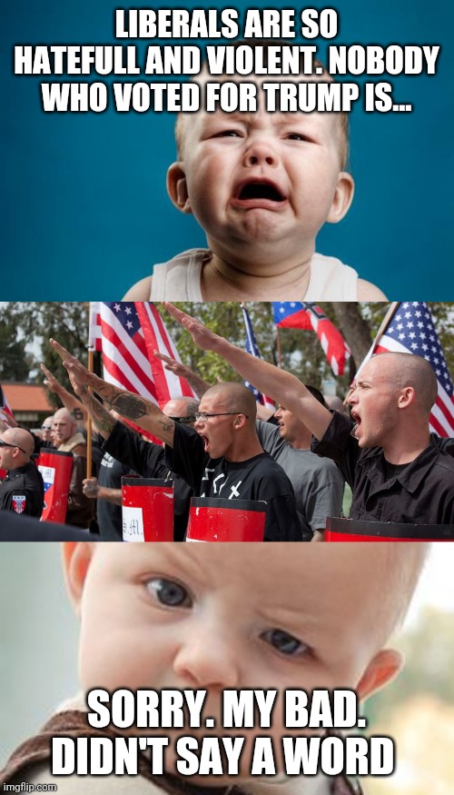 LIBERALS ARE SO HATEFULL AND VIOLENT. NOBODY WHO VOTED FOR TRUMP IS... SORRY. MY BAD. DIDN'T SAY A WORD | image tagged in memes,skeptical baby,baby crying,neo nazis | made w/ Imgflip meme maker