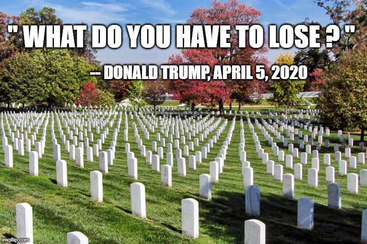 -- DONALD TRUMP, APRIL 5, 2020; " WHAT DO YOU HAVE TO LOSE ? " | image tagged in trump | made w/ Imgflip meme maker