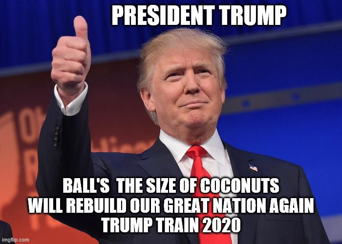 Trump Train 2020 | PRESIDENT TRUMP; BALL'S  THE SIZE OF COCONUTS
 WILL REBUILD OUR GREAT NATION AGAIN 
TRUMP TRAIN 2020 | image tagged in donald trump | made w/ Imgflip meme maker