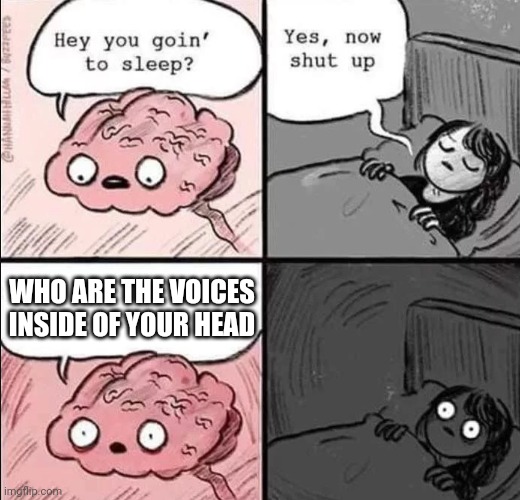 Voices | WHO ARE THE VOICES INSIDE OF YOUR HEAD | image tagged in waking up brain | made w/ Imgflip meme maker