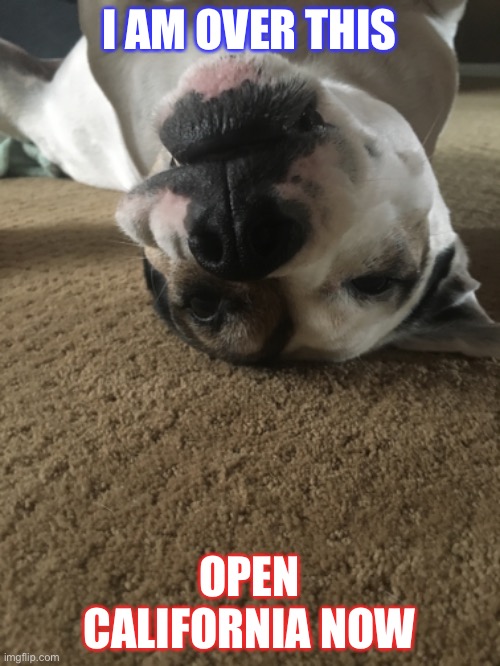 I am over it | I AM OVER THIS; OPEN CALIFORNIA NOW | image tagged in politics | made w/ Imgflip meme maker
