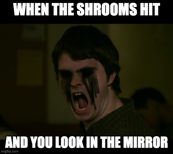 shroomies | WHEN THE SHROOMS HIT; AND YOU LOOK IN THE MIRROR | image tagged in drugs,drugs are bad,don't do drugs | made w/ Imgflip meme maker