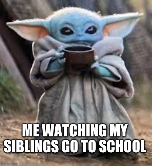 Baby Yodaaaaa | ME WATCHING MY SIBLINGS GO TO SCHOOL | image tagged in baby yoda,uwu | made w/ Imgflip meme maker