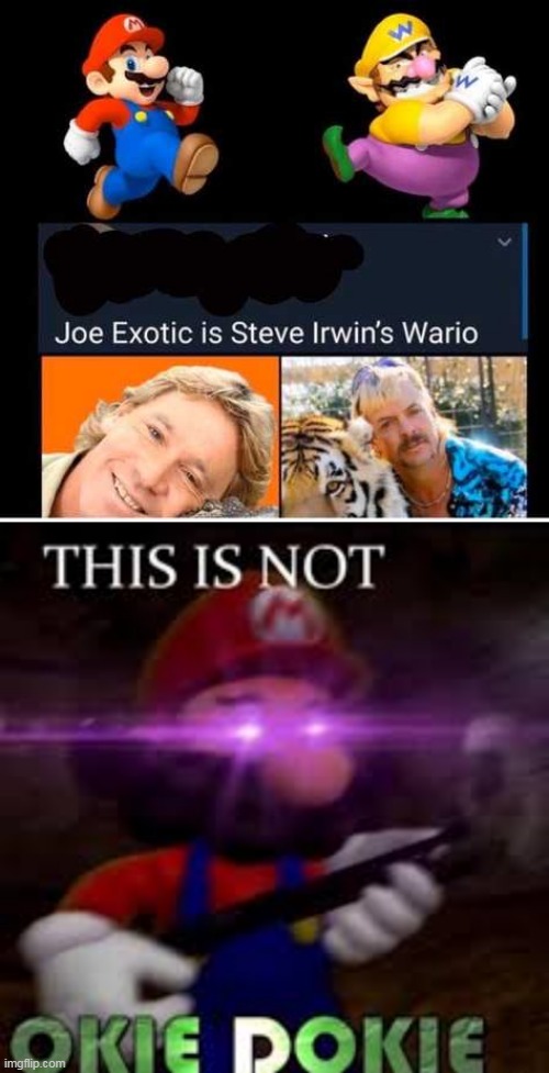 I SEE IT | image tagged in this is not okie dokie,memes,super mario,wario,tiger king | made w/ Imgflip meme maker