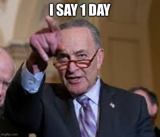 Schmuck Shumer | I SAY 1 DAY | image tagged in schmuck shumer | made w/ Imgflip meme maker