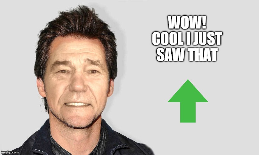 lou carey | WOW! COOL I JUST SAW THAT | image tagged in lou carey | made w/ Imgflip meme maker