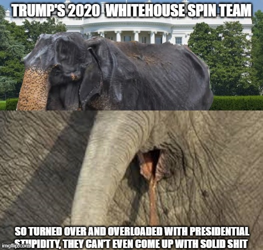 GOP can't come up with solid shit anymore | TRUMP'S 2020  WHITEHOUSE SPIN TEAM; SO TURNED OVER AND OVERLOADED WITH PRESIDENTIAL STUPIDITY, THEY CAN'T EVEN COME UP WITH SOLID SHIT | image tagged in gop spin,elephant shit,trump wh,shit stories,unjustifiable | made w/ Imgflip meme maker