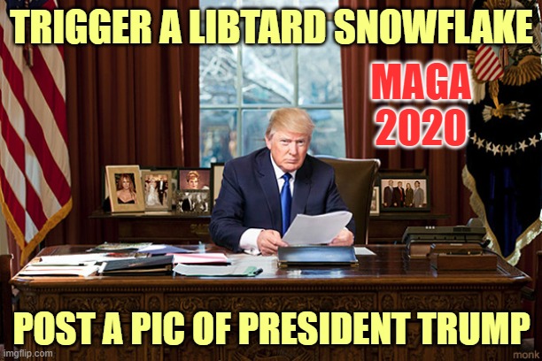 TRIGGER A LIBTARD SNOWFLAKE POST A PIC OF PRESIDENT TRUMP MAGA 2020 | made w/ Imgflip meme maker