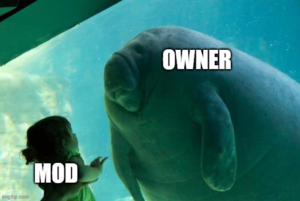 Overlord Manatee | OWNER; MOD | image tagged in overlord manatee | made w/ Imgflip meme maker