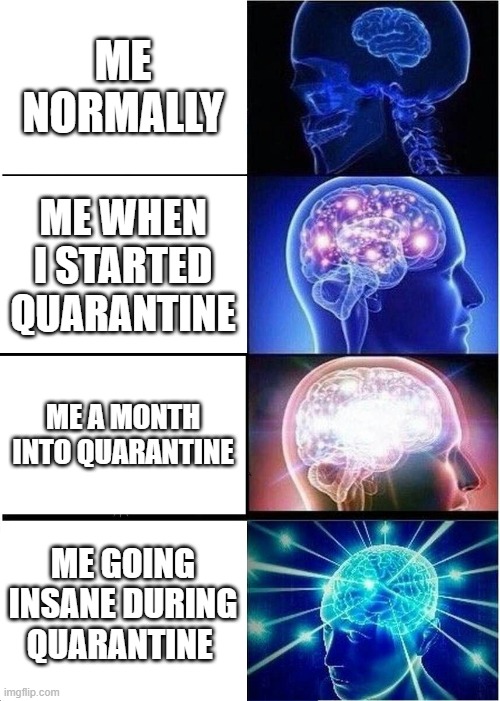 Expanding Brain Meme | ME NORMALLY; ME WHEN I STARTED QUARANTINE; ME A MONTH INTO QUARANTINE; ME GOING INSANE DURING QUARANTINE | image tagged in memes,expanding brain,quarantine,brain | made w/ Imgflip meme maker