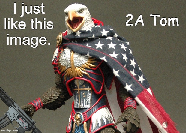 I like it! | I just like this
image. 2A Tom | image tagged in patriotic defender eagle of america,i like it | made w/ Imgflip meme maker