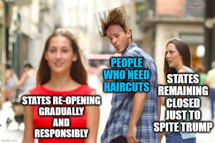 Distracted Boyfriend Meme | Mr.JiggyFly; PEOPLE
WHO NEED
HAIRCUTS; STATES REMAINING CLOSED JUST TO SPITE TRUMP; STATES RE-OPENING
GRADUALLY
AND
RESPONSIBLY | image tagged in memes,distracted boyfriend,coronavirus,quarantine,lockdown,msm lies | made w/ Imgflip meme maker