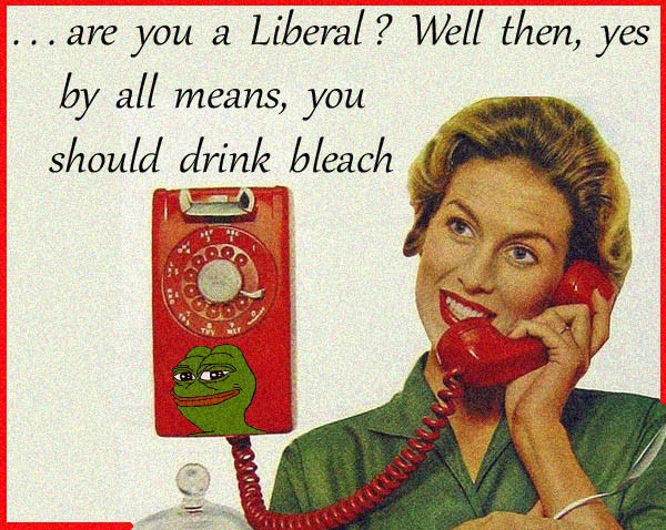 Hello? Liberal suicide hotline... | image tagged in covidiots,drink bleach,bleach,thin the herd,natural selection,stupid liberals | made w/ Imgflip meme maker