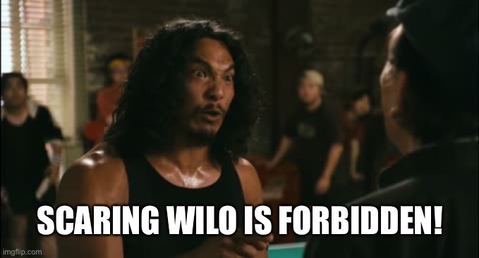 wilo | SCARING WILO IS FORBIDDEN! | image tagged in wilo | made w/ Imgflip meme maker