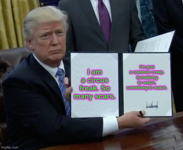 Trump Bill Signing | I am a circus freak. So many scars. I'm just a common creep. Something to watch, something to watch. | image tagged in memes,trump bill signing | made w/ Imgflip meme maker