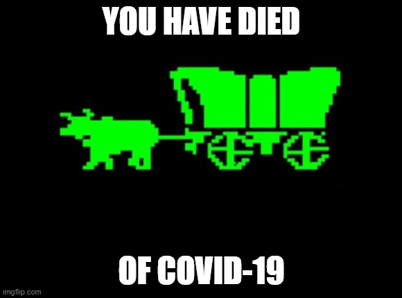 Oregon trail |  YOU HAVE DIED; OF COVID-19 | image tagged in oregon trail,AdviceAnimals | made w/ Imgflip meme maker