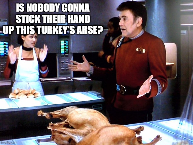 Happy Treksgiving | IS NOBODY GONNA STICK THEIR HAND UP THIS TURKEY'S ARSE? | image tagged in chekov with turkey | made w/ Imgflip meme maker