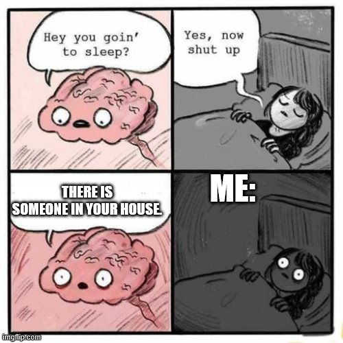 Hey you going to sleep? | ME:; THERE IS SOMEONE IN YOUR HOUSE. | image tagged in hey you going to sleep | made w/ Imgflip meme maker