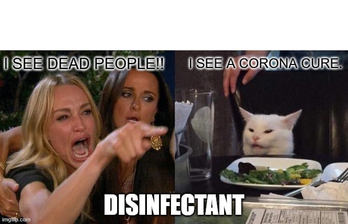 Cure? | I SEE DEAD PEOPLE!! I SEE A CORONA CURE. DISINFECTANT | image tagged in memes,woman yelling at cat | made w/ Imgflip meme maker
