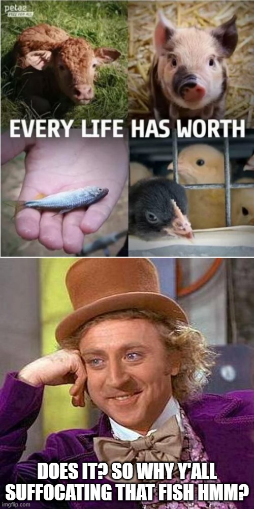 Bad PETA Ad | DOES IT? SO WHY Y'ALL SUFFOCATING THAT FISH HMM? | image tagged in memes,creepy condescending wonka | made w/ Imgflip meme maker