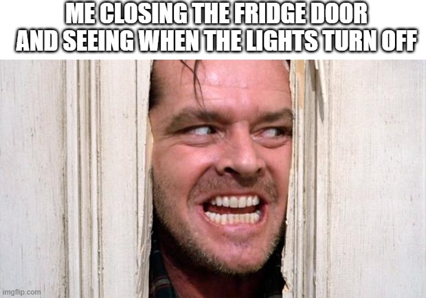 The Shining | ME CLOSING THE FRIDGE DOOR AND SEEING WHEN THE LIGHTS TURN OFF | image tagged in the shining,dankmemes | made w/ Imgflip meme maker
