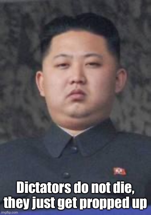 Kim Jong Un | Dictators do not die, they just get propped up | image tagged in kim jong un | made w/ Imgflip meme maker