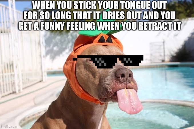 Tongue out Doggo | WHEN YOU STICK YOUR TONGUE OUT FOR SO LONG THAT IT DRIES OUT AND YOU GET A FUNNY FEELING WHEN YOU RETRACT IT | image tagged in tongue out doggo | made w/ Imgflip meme maker