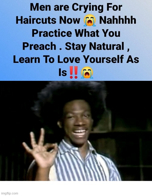 COVELL BELLAMY III | image tagged in buckwheat loving yourself without a haircut | made w/ Imgflip meme maker