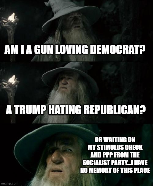 Confused Gandalf Meme | AM I A GUN LOVING DEMOCRAT? A TRUMP HATING REPUBLICAN? OR WAITING ON MY STIMULUS CHECK AND PPP FROM THE SOCIALIST PARTY...I HAVE NO MEMORY OF THIS PLACE | image tagged in memes,confused gandalf | made w/ Imgflip meme maker