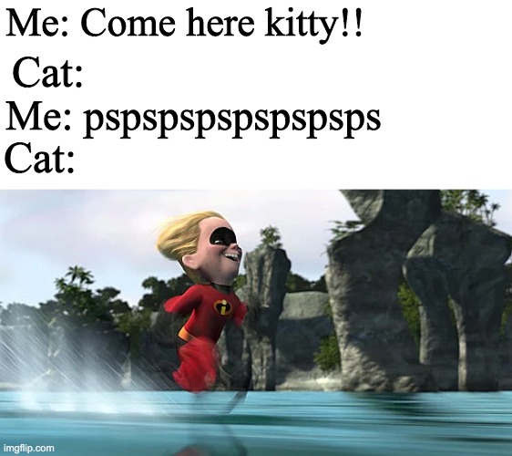 Me: Come here kitty!! Cat:; Me: pspspspspspspsps; Cat: | image tagged in blank white template,too fast for you dash | made w/ Imgflip meme maker