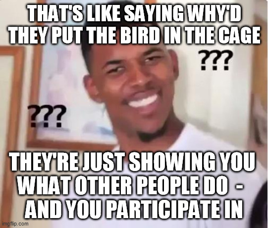 Huh? | THAT'S LIKE SAYING WHY'D THEY PUT THE BIRD IN THE CAGE THEY'RE JUST SHOWING YOU 
WHAT OTHER PEOPLE DO  -  
AND YOU PARTICIPATE IN | image tagged in huh | made w/ Imgflip meme maker