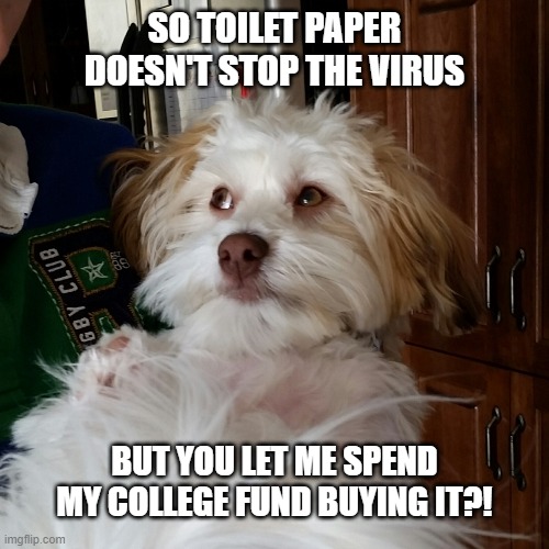 Coronavirus College Savings | SO TOILET PAPER DOESN'T STOP THE VIRUS; BUT YOU LET ME SPEND MY COLLEGE FUND BUYING IT?! | image tagged in you fur real | made w/ Imgflip meme maker